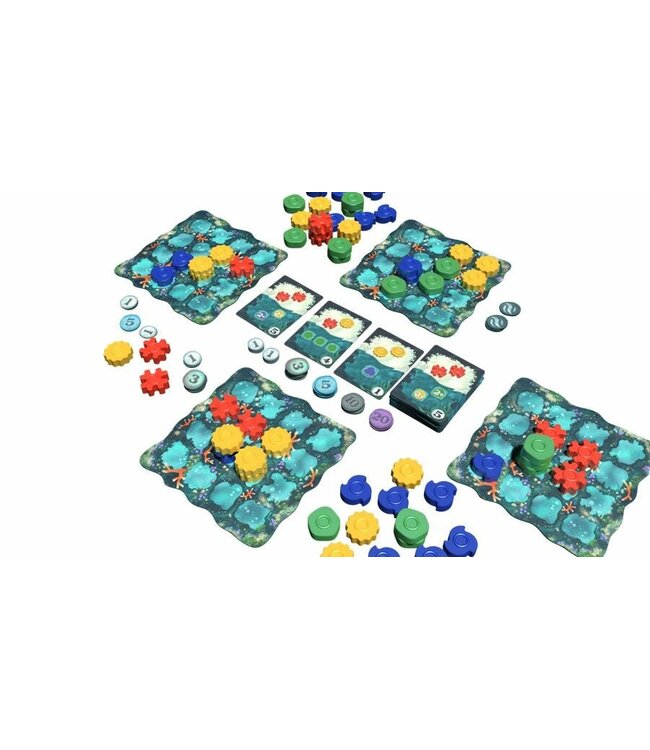 Reef (NL) - Board game