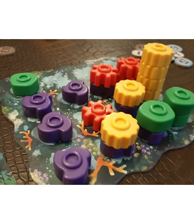 Reef (NL) - Bordspel