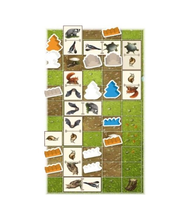 Renature: Valley (NL) - Board game
