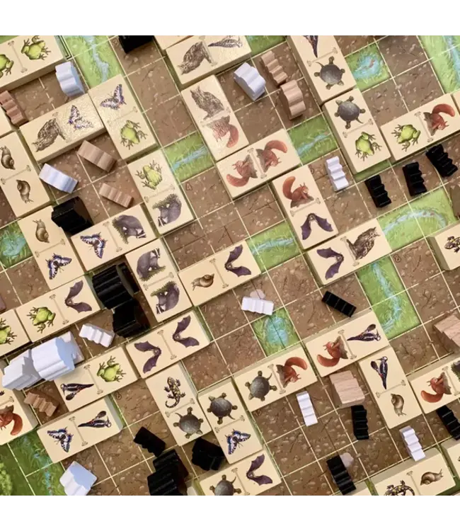 Renature (NL) - Bordspel