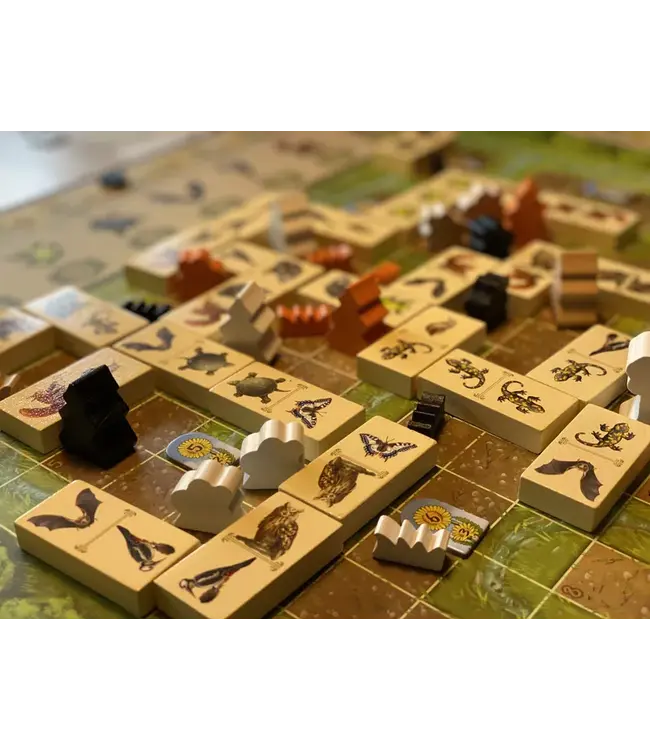 Renature (NL) - Brettspiel