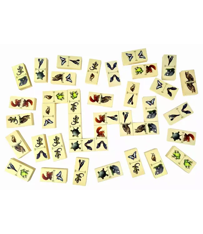 Renature (NL) - Board game