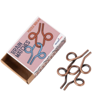 Recent Toys Brain Matches: Puzzle Box #6