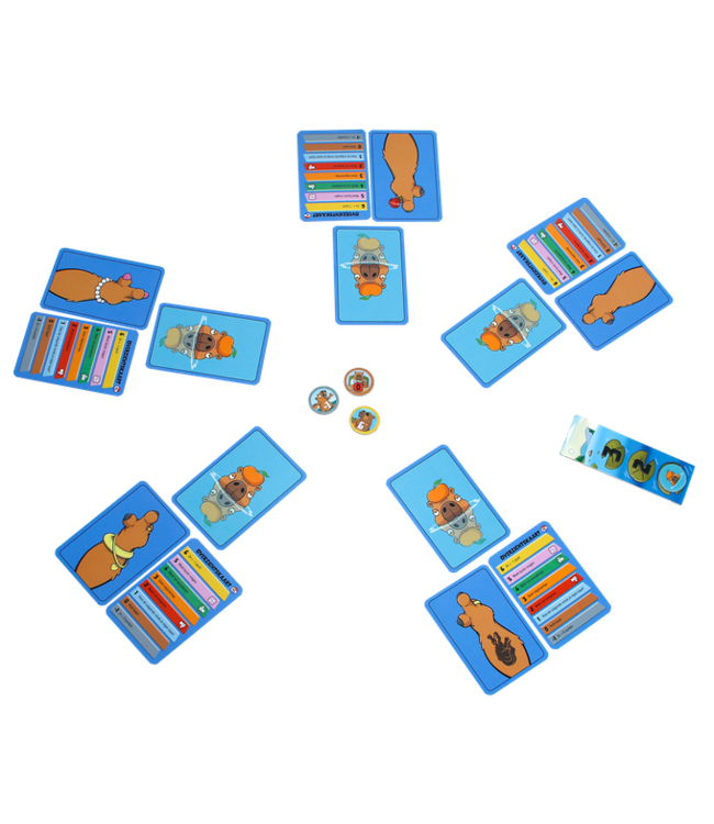 Swapybara (NL) - Card game
