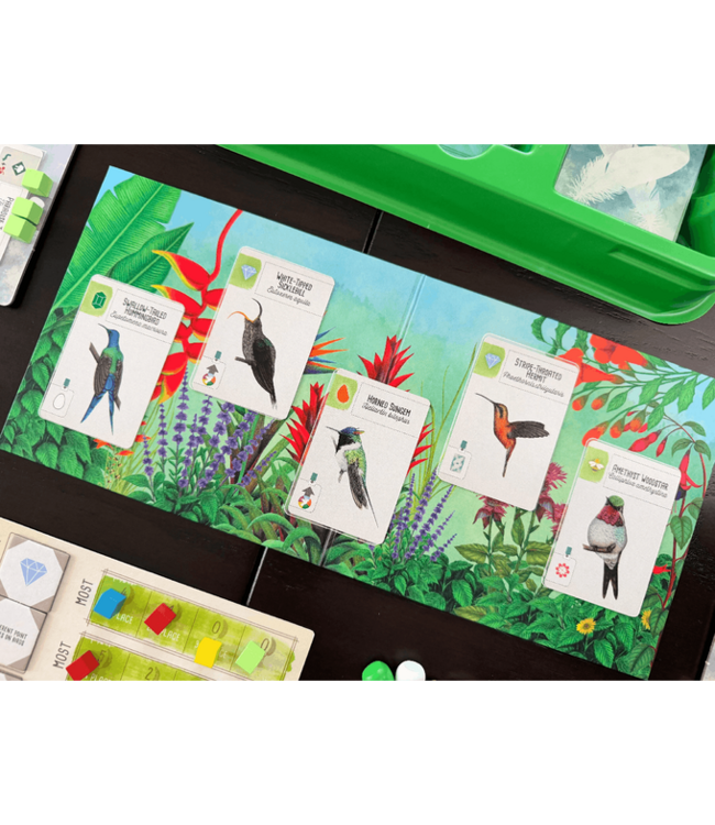 Wingspan Uitbreiding: Midden- en Zuid-Amerika (NL) - Brettspiel