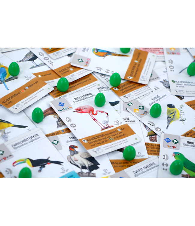 Wingspan Uitbreiding: Midden- en Zuid-Amerika (NL) - Brettspiel