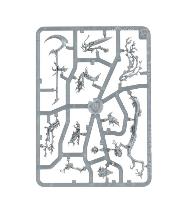 Age of Sigmar - Sylvaneth: Grove Guardian