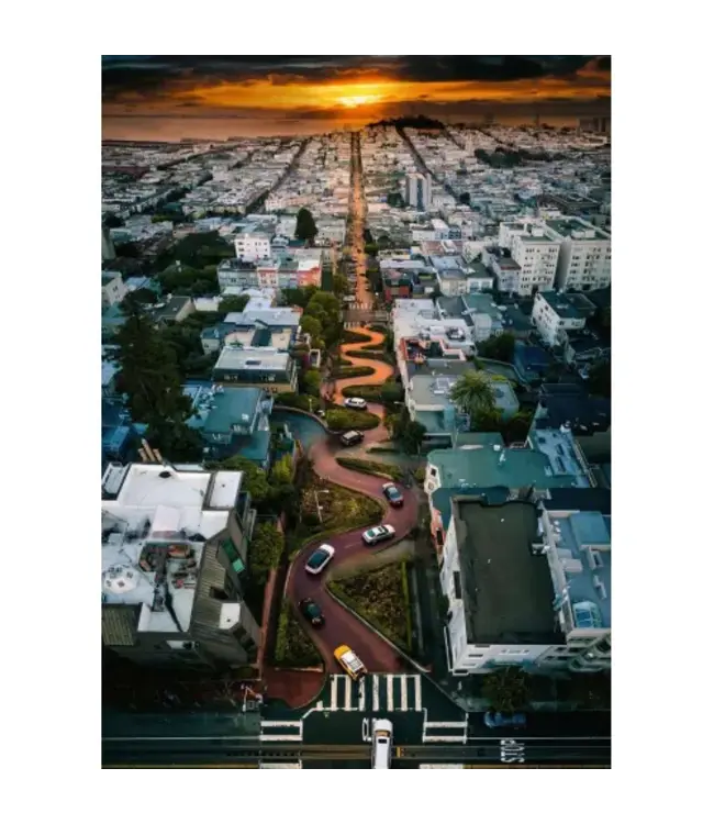 Lombard Street, San Francisco (1000 Stukjes)