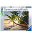 Ravensburger Strandgeheim (1500 Pieces)