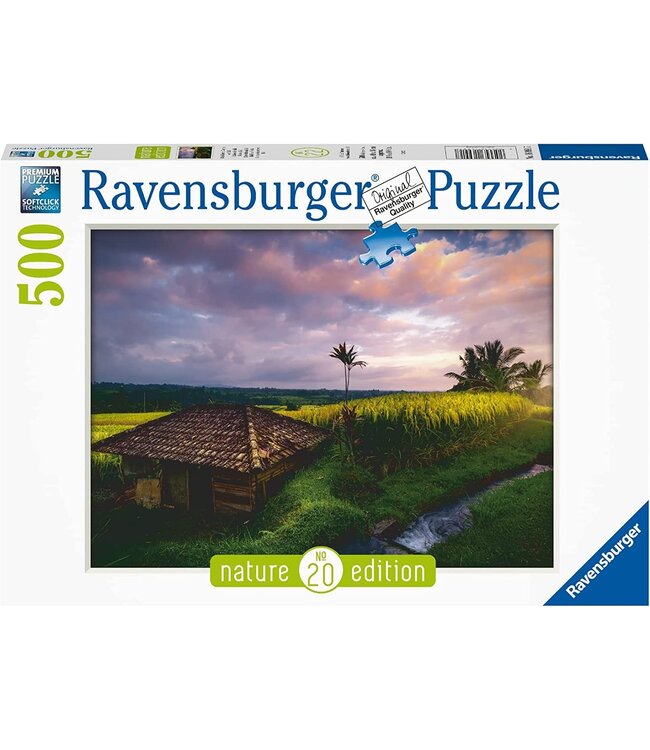 Rijstvelden in Bali (500 Stukjes)