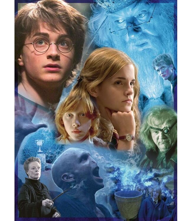 Harry Potter op Zweinstein (500 Teile)