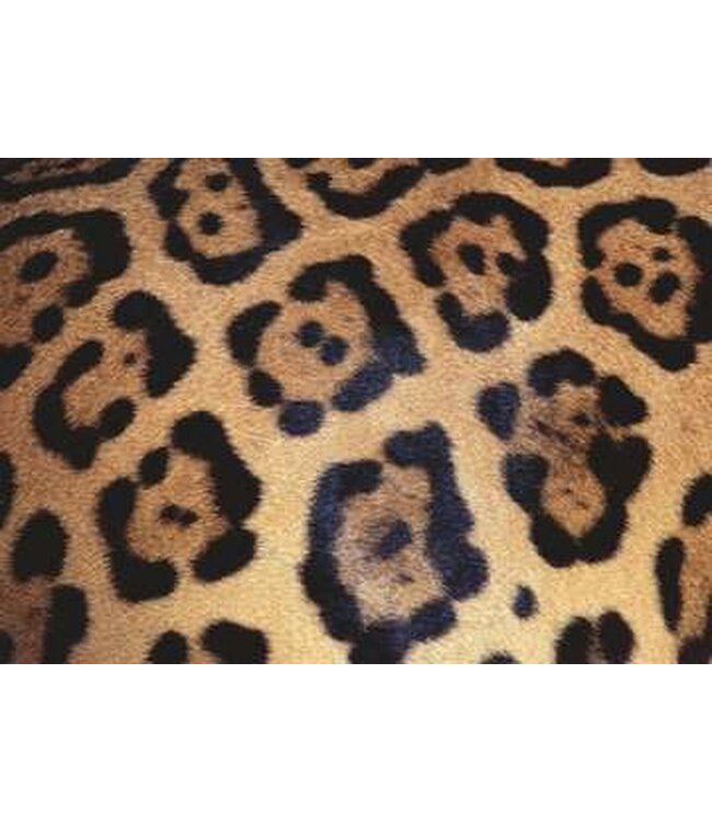 Challenge: Animal Print (1000 Teile)