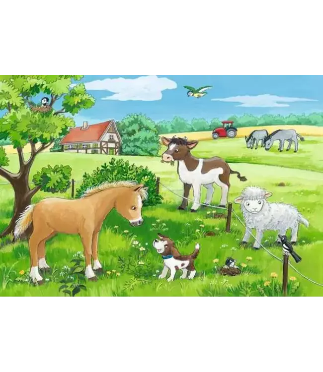 Jonge Dieren op het Platteland (2x12 Teile)