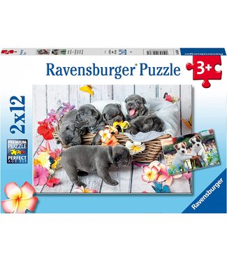 Ravensburger Kleine Fellknäuel (2x12 Teile)