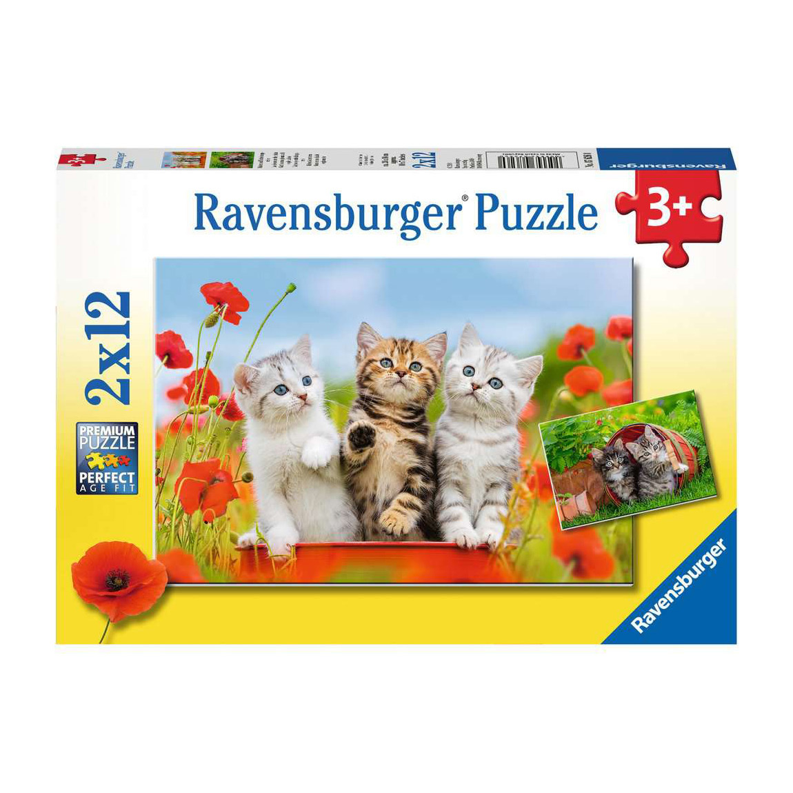 Ravensburger Katjes op Ontdekkingsreis (2x12 Stukjes)