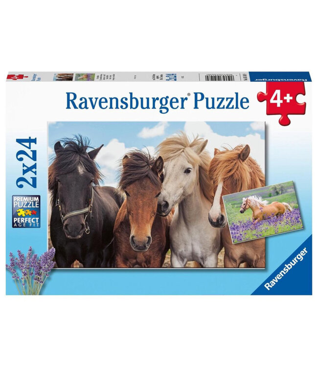 Paardenliefde (2x24 Stukjes)