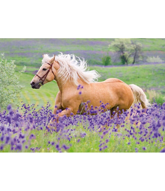 Horses (2x24 Pieces)