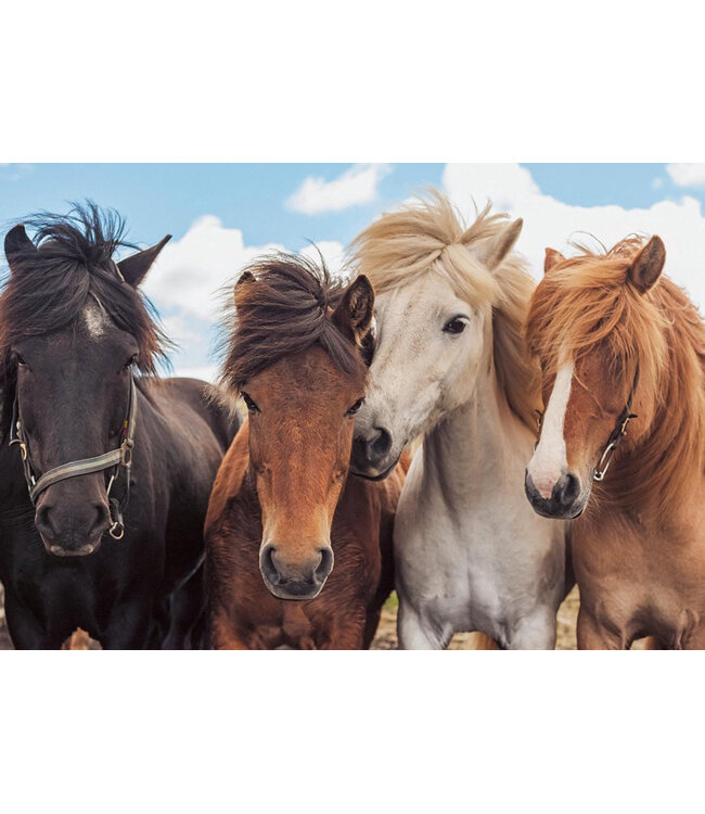 Horses (2x24 Pieces)