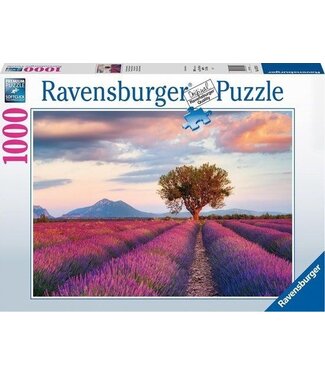 Ravensburger Lavendel Velden (1000 Pieces)