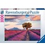 Ravensburger Lavendel Velden (1000 Teile)