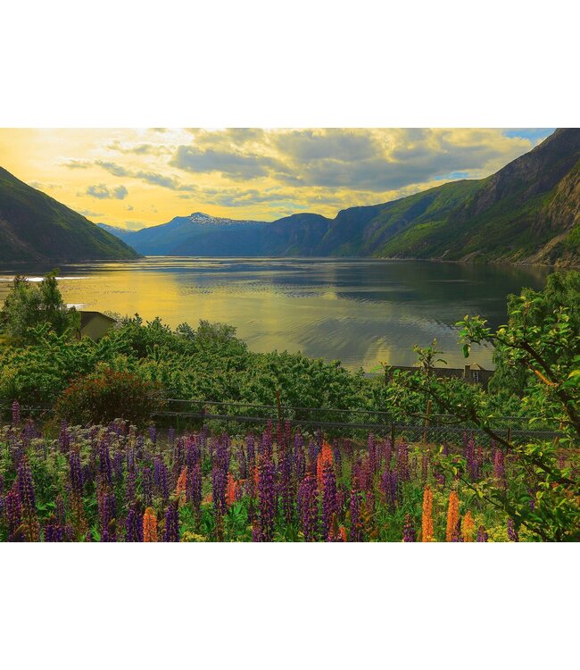 Scandinavian Places: Fjord in Noorwegen (1000 Stukjes)