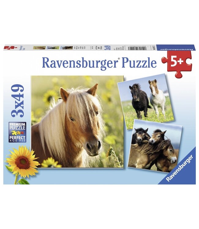 Schattige Pony's (3 x 49 Stukjes)