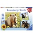 Ravensburger Schattige Pony's (3 x 49 Pieces)