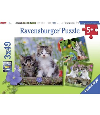 Ravensburger Jonge Katjes 3 in 1 (3 x 49 Stukjes)