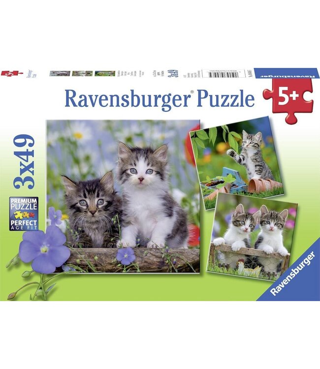 Jonge Katjes 3 in 1 (3 x 49 Teile)