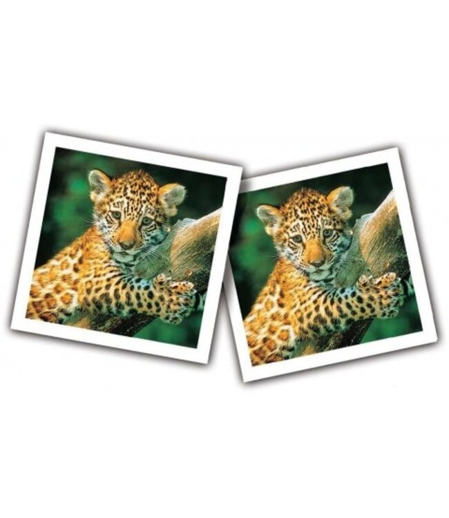 Memory: Jonge Dieren (NL) - Kaartspel