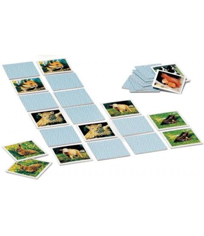 Memory: Jonge Dieren (NL) - Kartenspiel