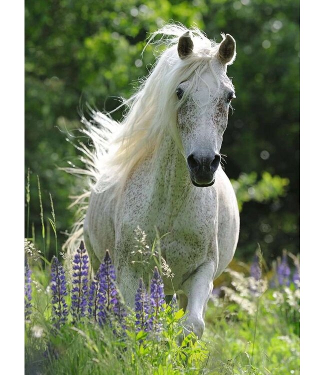 Witte Merrie XXL (100 Pieces) - Puzzle