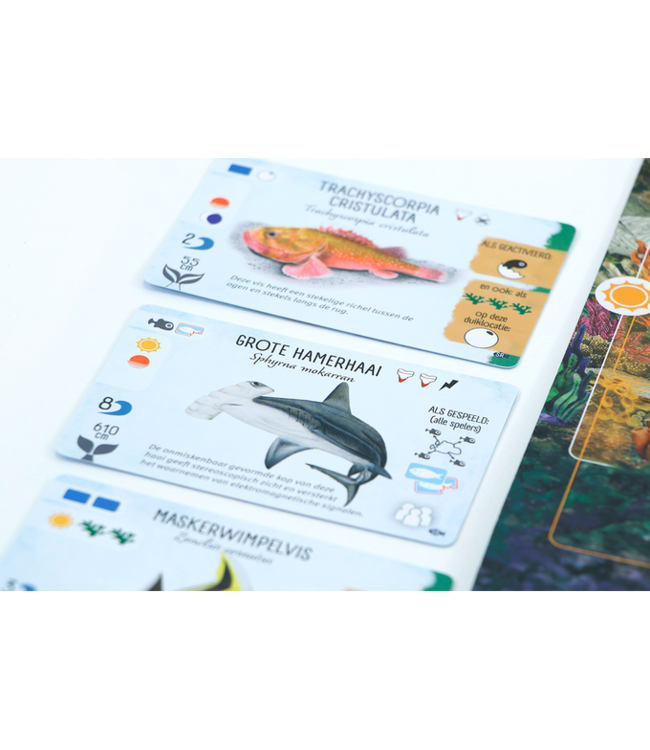 Finspan: Haaien & Riffen (NL) - Brettspiel