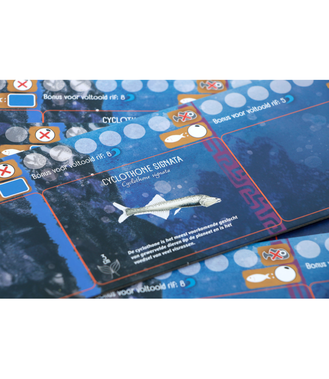 Finspan: Haaien & Riffen (NL) - Brettspiel