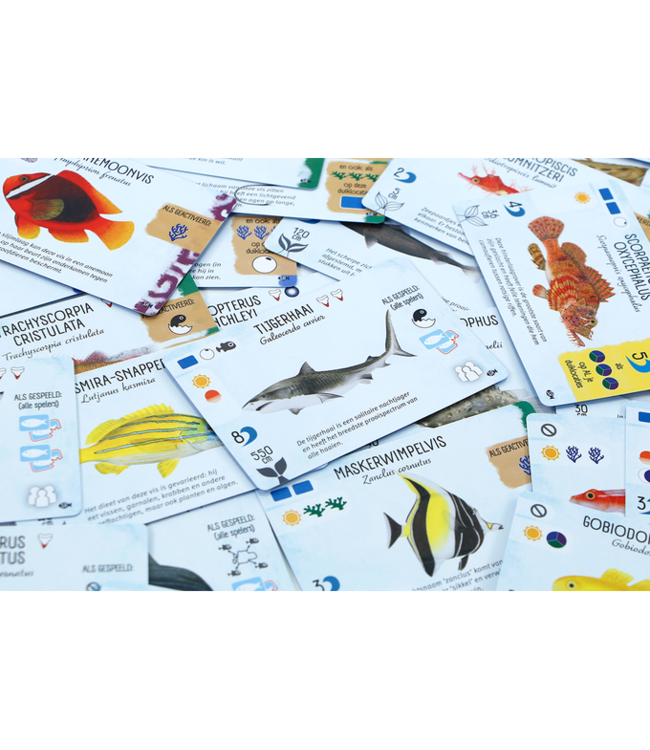 Finspan: Haaien & Riffen (NL) - Brettspiel
