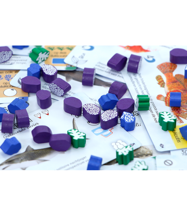 Finspan: Haaien & Riffen (NL) - Bordspel