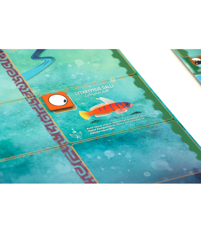 Finspan (NL) - Brettspiel