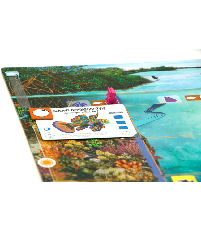 Finspan (NL) - Board game