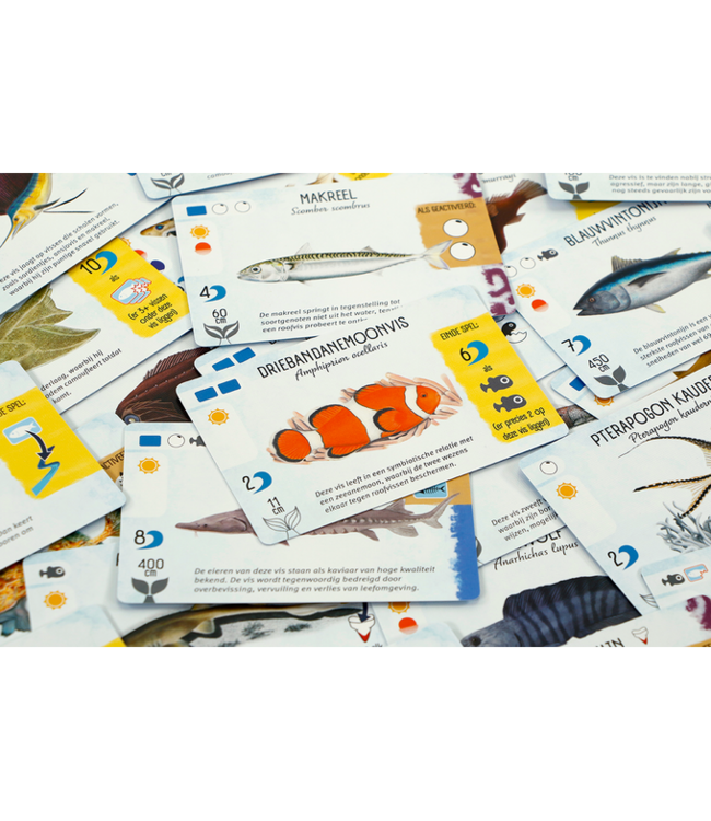 Finspan (NL) - Brettspiel