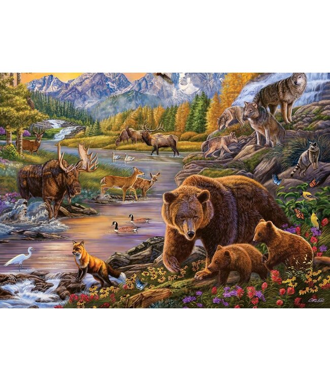 Wildernis (500 Pieces)