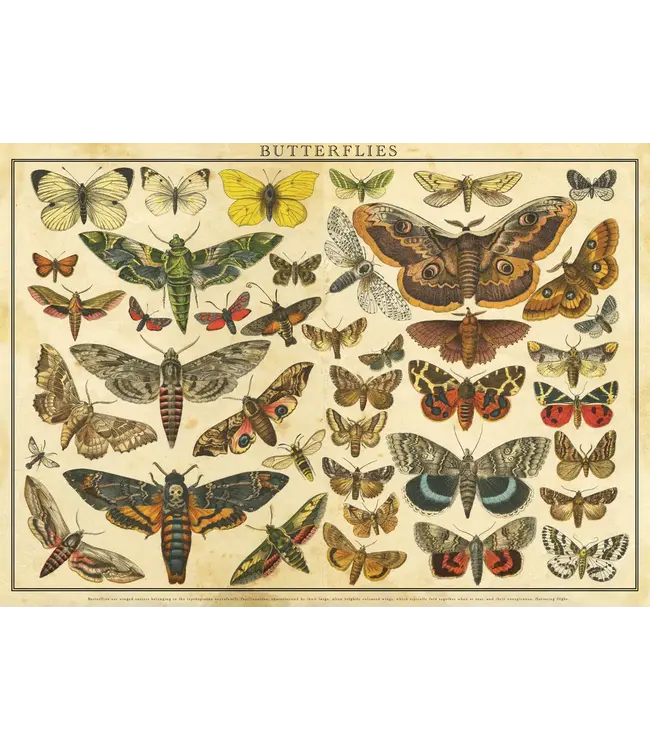 Interdruk: Vintage Nature #1 (2000 Teile) - Puzzle