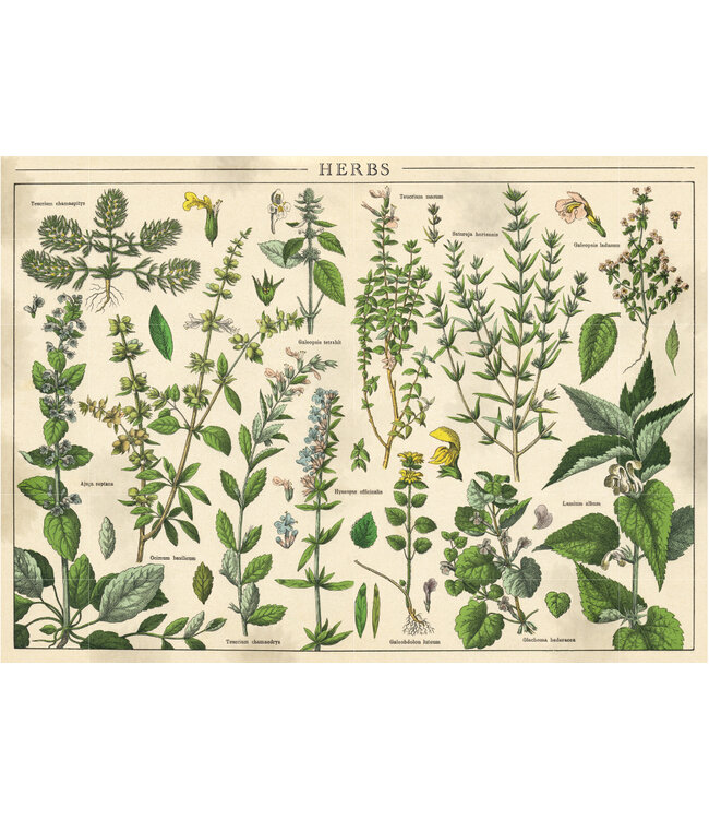 Interdruk: Vintage Nature #1 (1000 Pieces) - Puzzle
