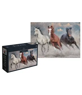 Interdruk Wild Horses #1 (1000 Teile)