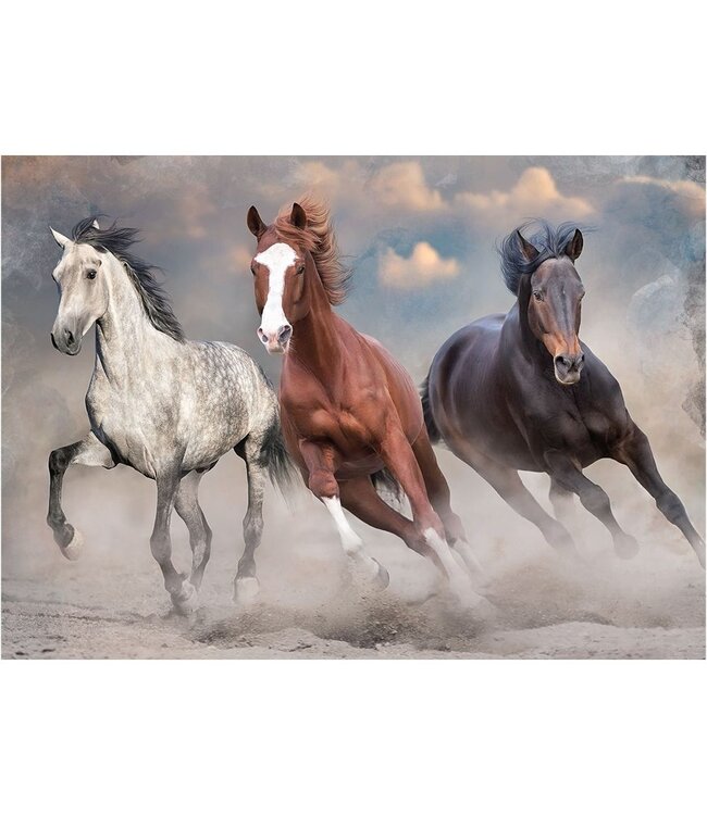 Interdruk: Wild Horses #1 (1000 Pieces) - Puzzle