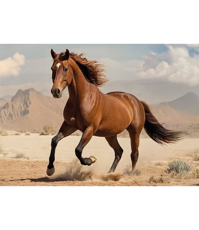 Interdruk: Wild Horses #2 (1000 Teile) - Puzzle