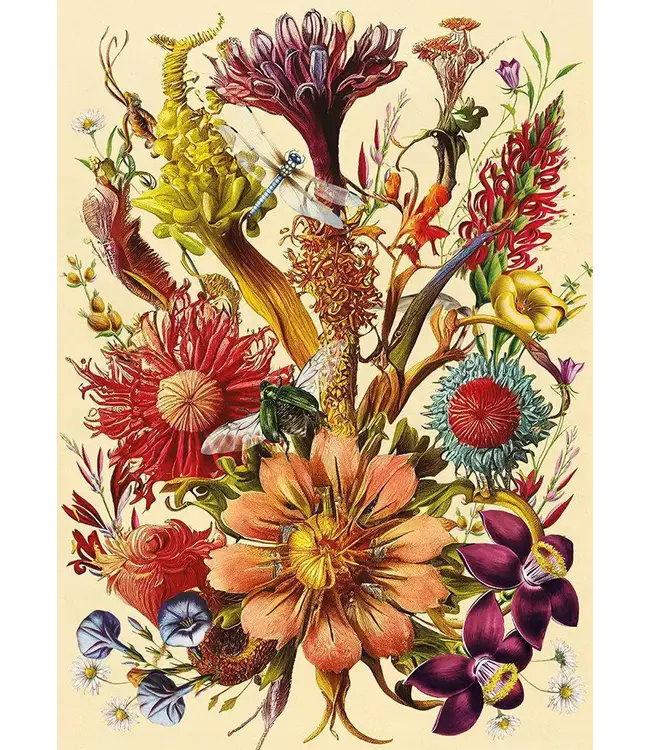 Interdruk: Flowers #5 (1000 Teile) - Puzzle