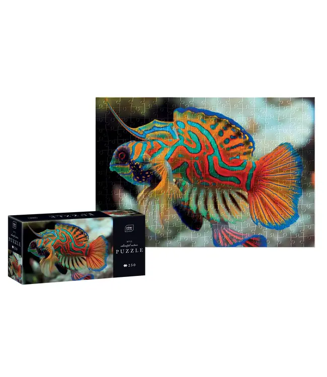 Interdruk: Colourful Nature #11 (250 Teile) - Puzzle