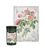 Interdruk Puzzle Botanic: Rose (1000 Teile)
