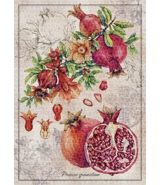 Interdruk: Puzzle Botanic: Pomegranate (1000 Teile) - Puzzle