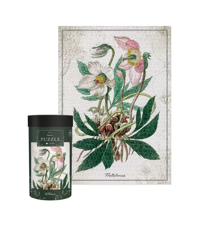 Interdruk: Puzzle Botanic: Helleborus (1000 Teile) - Puzzle